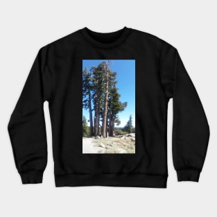 California Crewneck Sweatshirt